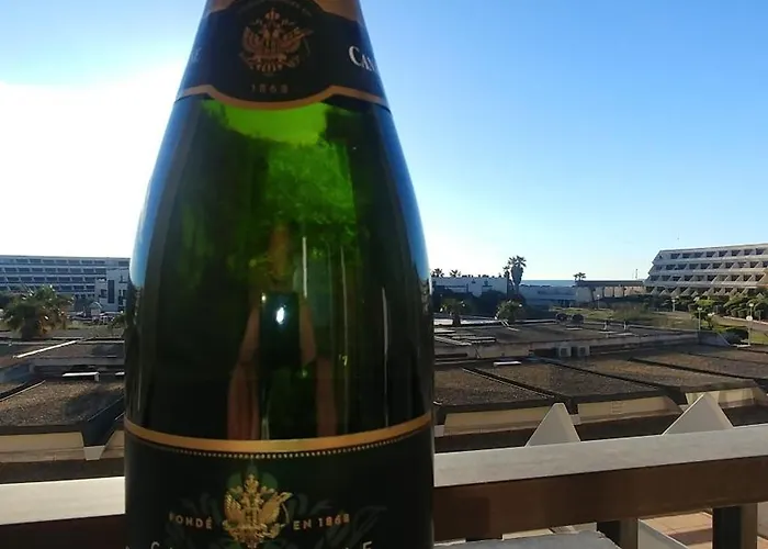 Double Avec Separee - Village Naturiste Heliopolis Cap D'agde 아파트 아그